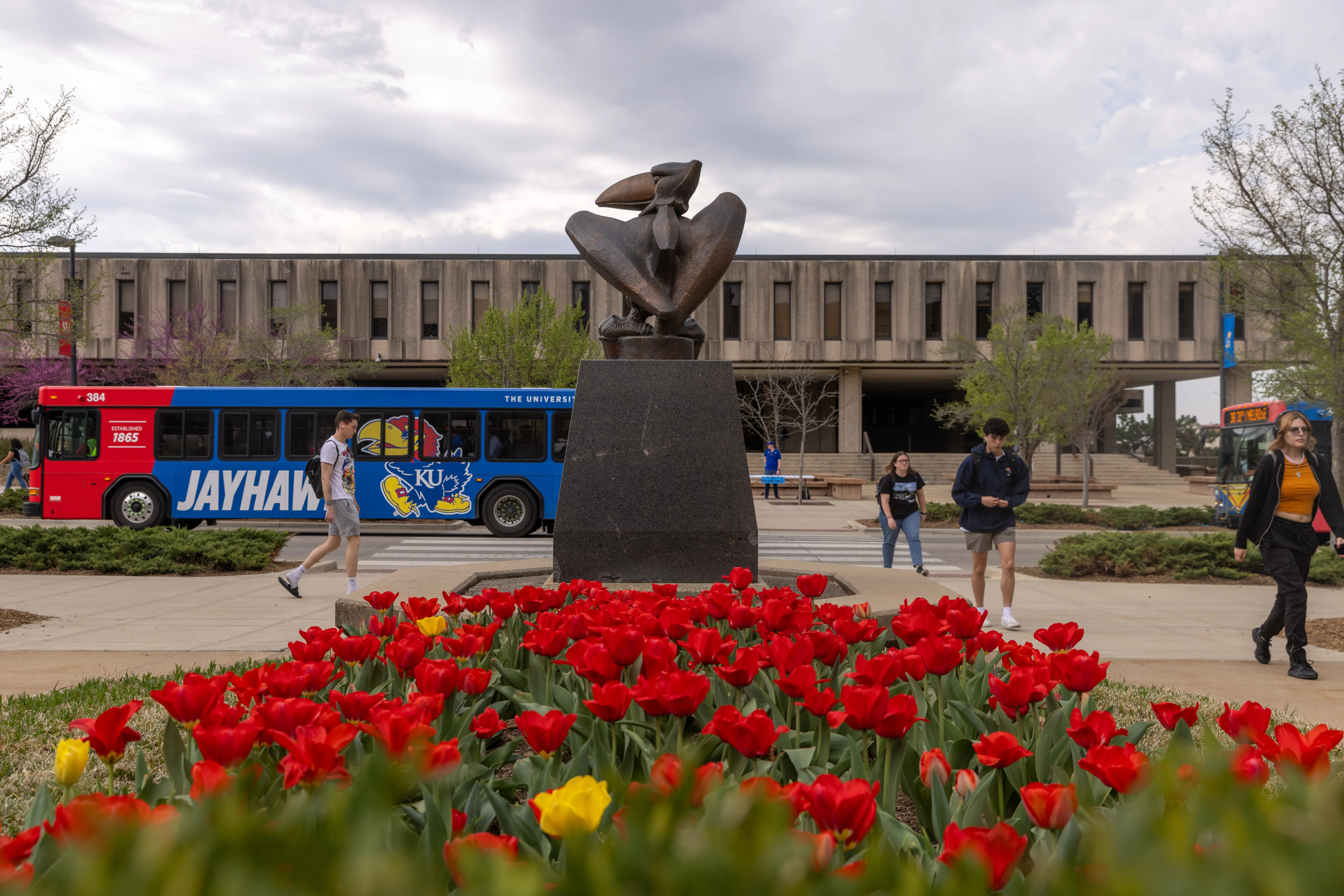 students walking past Jayhawk statue with blooming red and yellow tulips in the foreground at KU